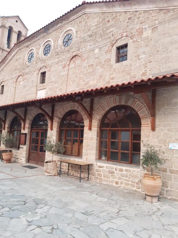 סארטי Studio Wilem מראה חיצוני תמונה